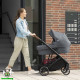 BRITAX ROEMER STRIDER M 2 в 1 Модульная коляска BRITAX ROEMER STRIDER M 2 в 1 Модульная коляска